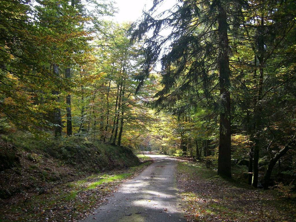 Chalet Du Montal Dun-les-Places 객실 사진